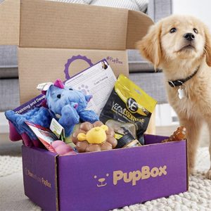 pupbox sub