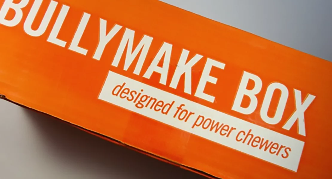 bullymake-box-review
